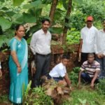 वृक्षारोपण 1