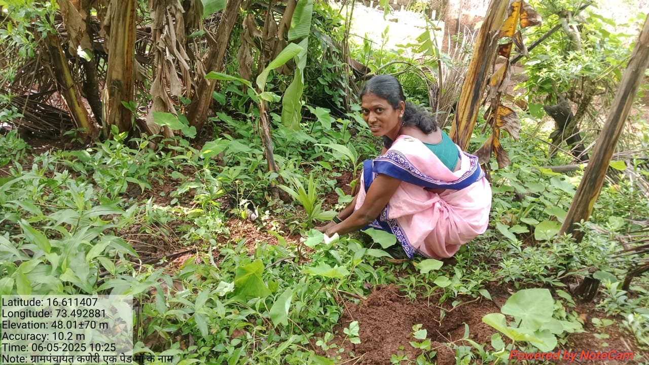 वृक्षारोपण 2