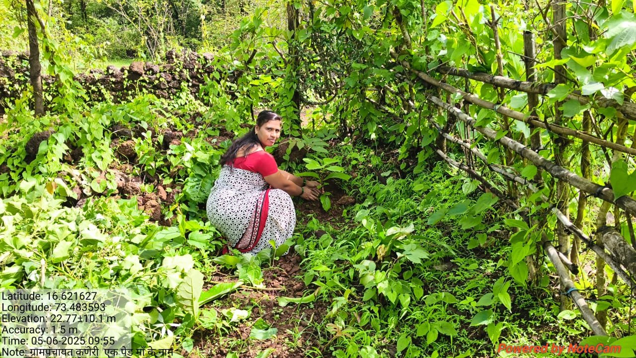 वृक्षारोपण 3