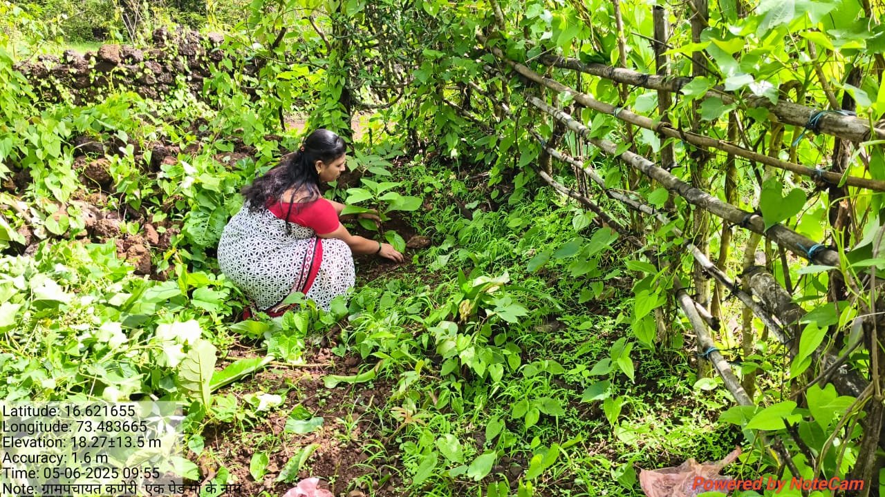 वृक्षारोपण 4